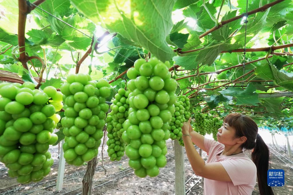 喜雅玛雅官网